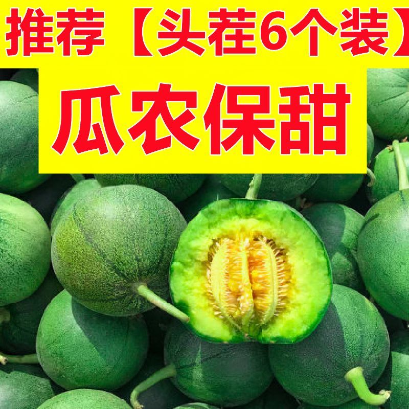 绿宝甜瓜5斤时令新鲜水果当季绿宝石甜瓜脆甜香瓜新鲜包邮