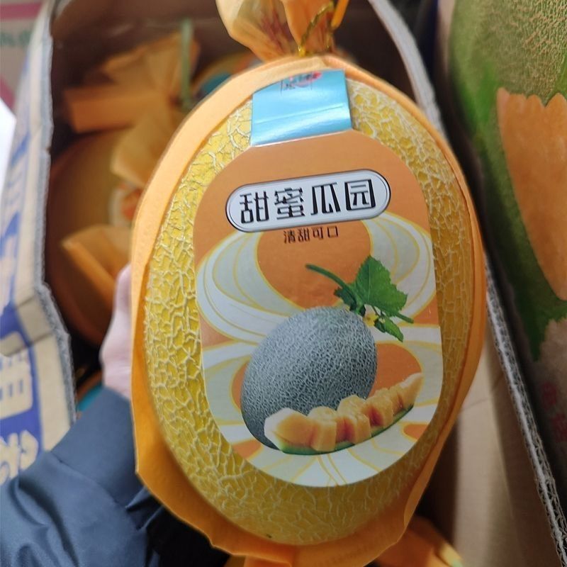 山东黄金密甜瓜黄皮哈密瓜甜香甜瓜网纹黄皮哈密瓜新鲜