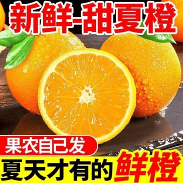 广西桂林现摘夏橙正宗酸甜夏橙榨汁当季整箱新鲜薄皮多汁水果