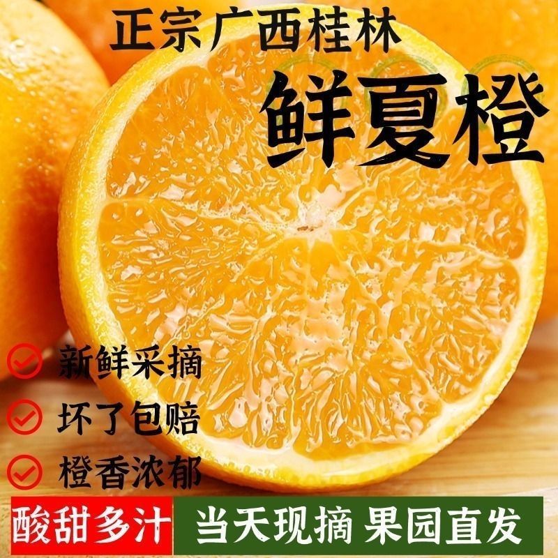 广西桂林现摘夏橙正宗酸甜夏橙榨汁当季整箱新鲜薄皮多汁水果