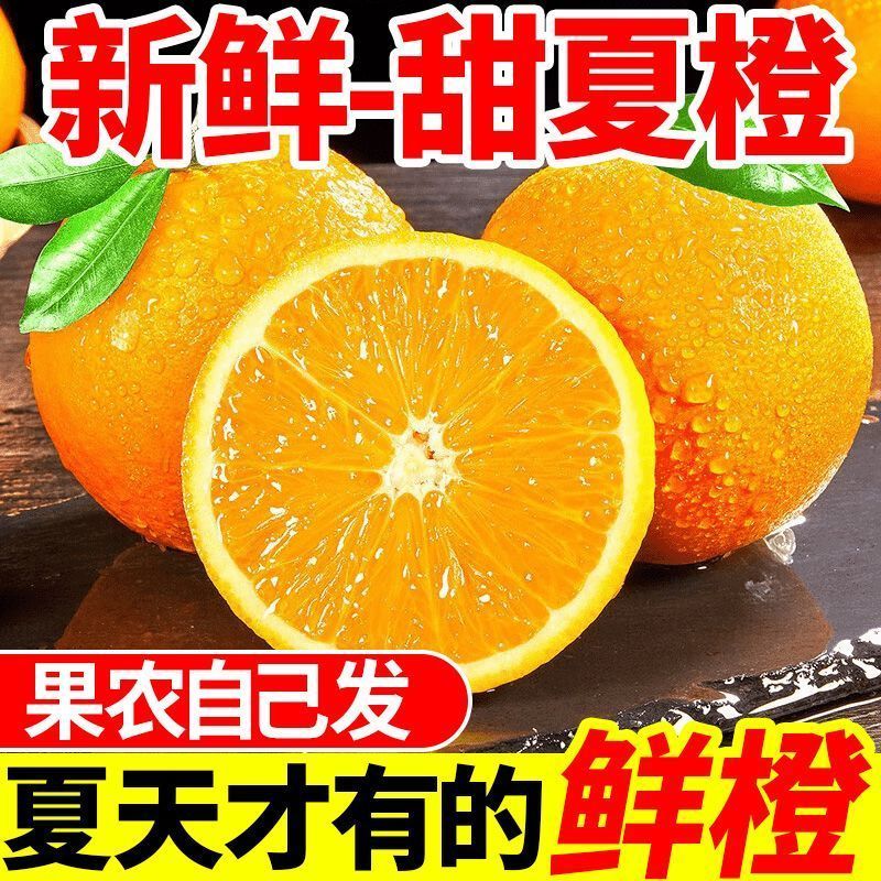 广西桂林现摘夏橙正宗酸甜夏橙榨汁当季整箱新鲜薄皮多汁水果