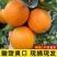 广西桂林现摘夏橙正宗酸甜夏橙榨汁当季整箱新鲜薄皮多汁水果