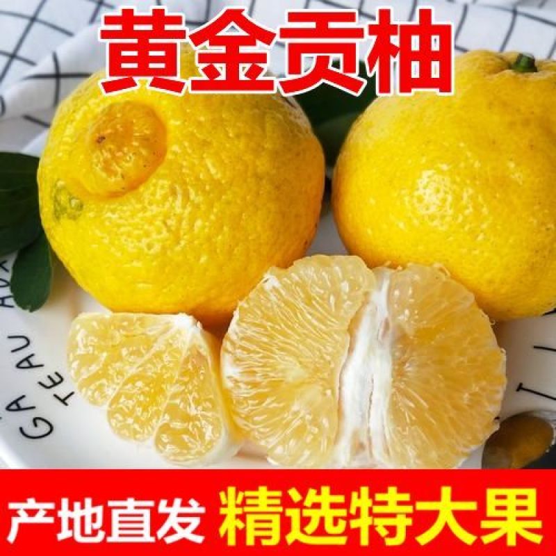 正宗湖南特产岩龙黄金贡柚新鲜水果小柚子春香象山青桔柚纯甜