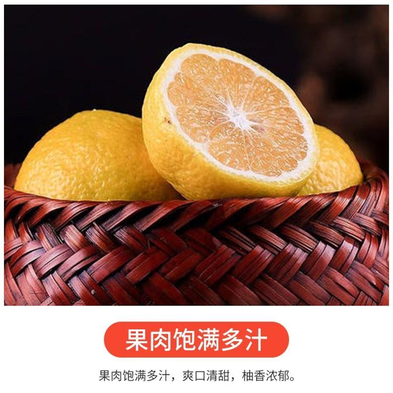 正宗湖南特产岩龙黄金贡柚新鲜水果小柚子春香象山青桔柚纯甜