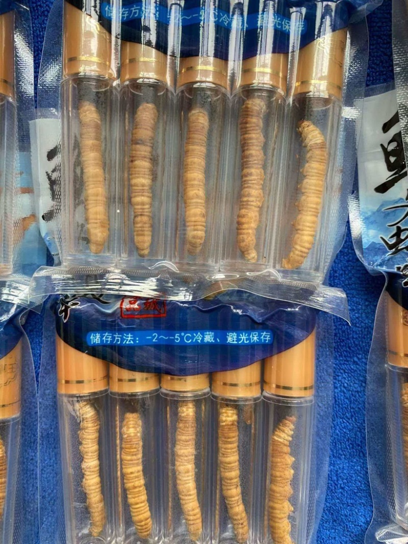 冬虫夏草，产地源头一手厂家，支持视频看货，全国批发对接