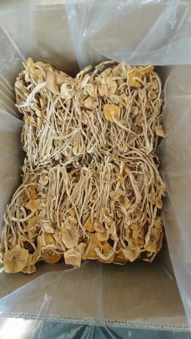 江西广昌精选散装茶树菇，扎把茶树菇，产地供应链，全国发货