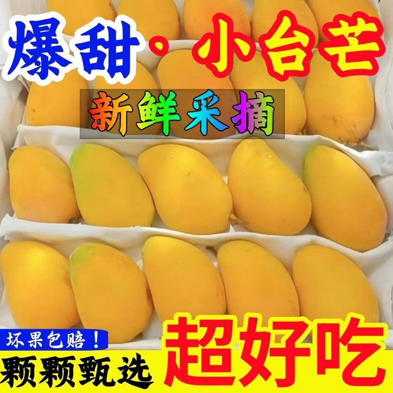净重4.5斤云南小台农芒果当季新鲜水果台农芒果薄皮整箱水