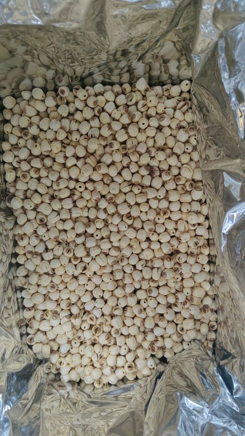 江西白莲，常年大量现货供应，货源充足，欢迎联系