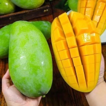 【彩箱】正宗大青芒果新鲜水果批发价整箱云南应季超大果
