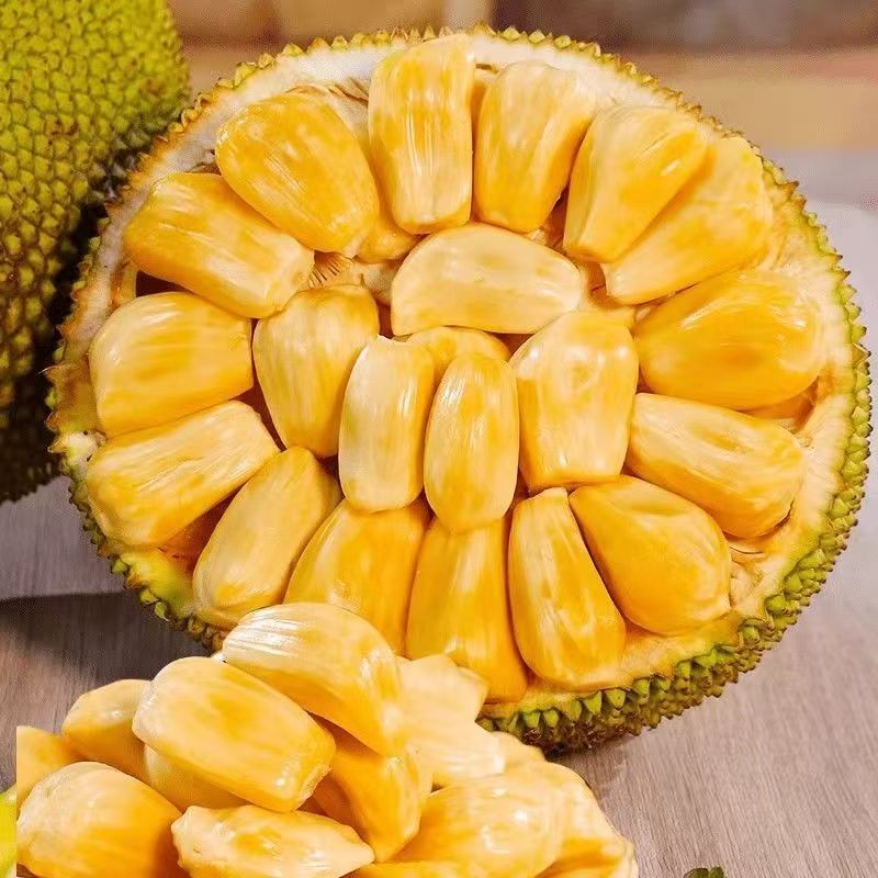 【正宗】当季黄肉菠萝蜜一整个新鲜水果大树木菠萝干苞整箱批