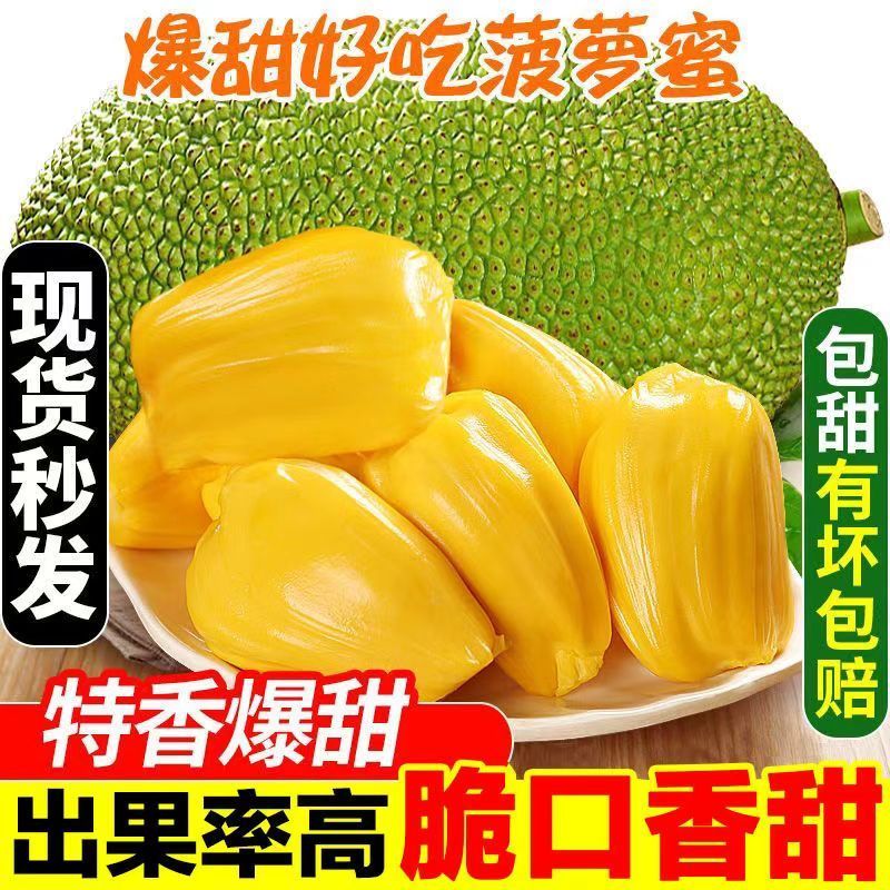 【正宗】当季黄肉菠萝蜜一整个新鲜水果大树木菠萝干苞整箱批