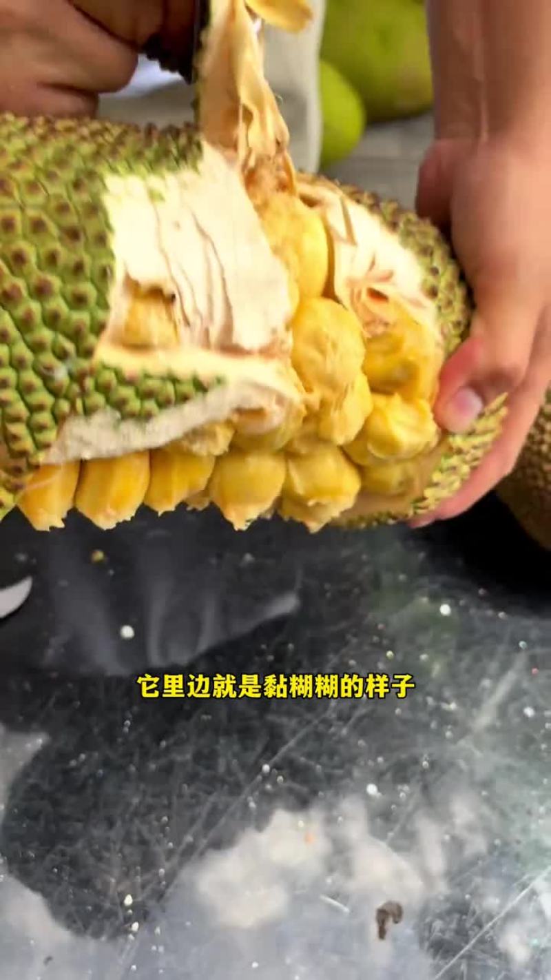 【正宗】当季黄肉菠萝蜜一整个新鲜水果大树木菠萝干苞整箱批