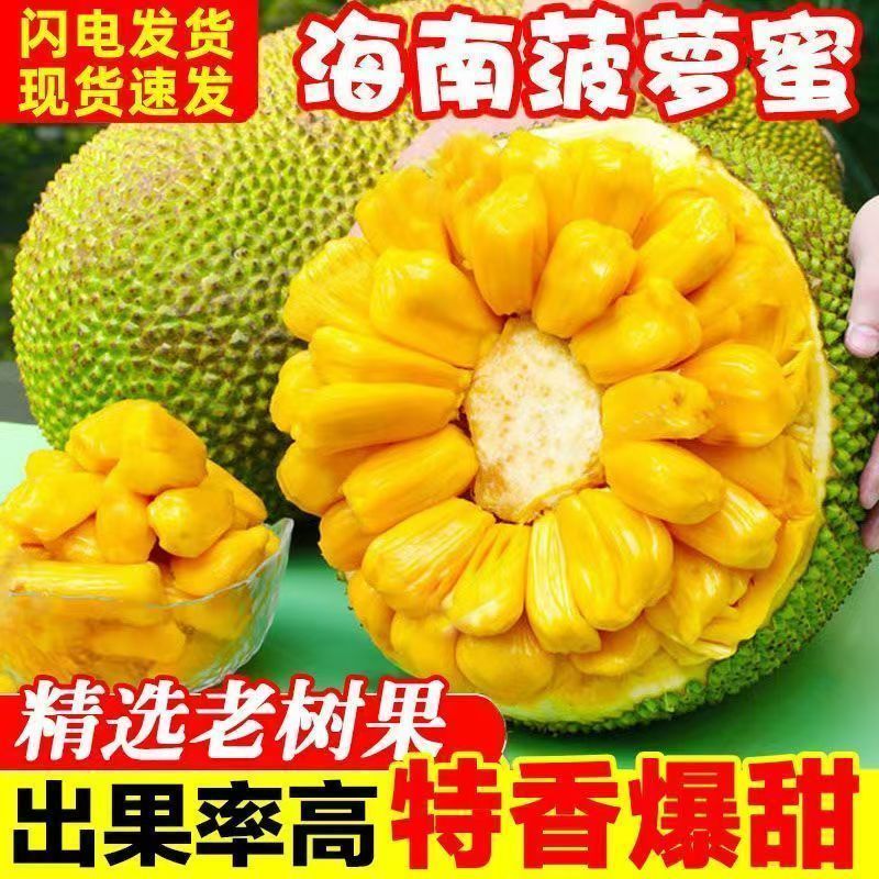 【正宗】当季黄肉菠萝蜜一整个新鲜水果大树木菠萝干苞整箱批
