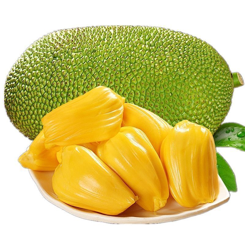 【正宗】当季黄肉菠萝蜜一整个新鲜水果大树木菠萝干苞整箱批