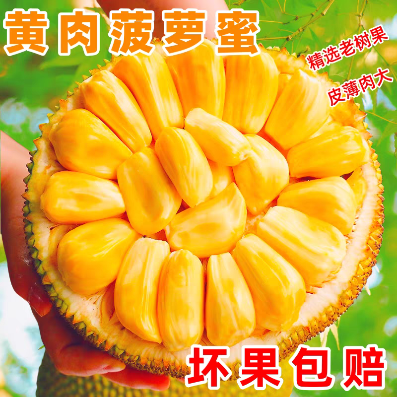 【正宗】当季黄肉菠萝蜜一整个新鲜水果大树木菠萝干苞整箱批