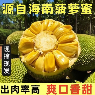 【正宗】当季黄肉菠萝蜜一整个新鲜水果大树木菠萝干苞整箱批