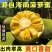 【正宗】当季黄肉菠萝蜜一整个新鲜水果大树木菠萝干苞整箱批