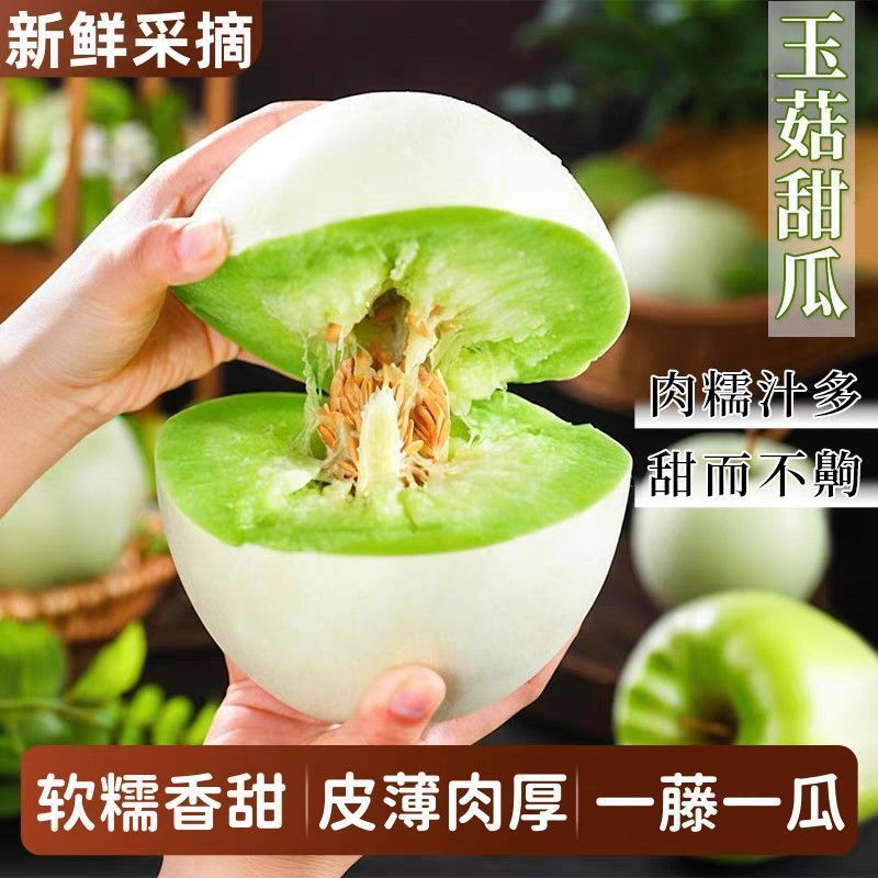 彩箱带箱5斤冰淇淋玉菇甜瓜正宗奶香蜜瓜现摘新鲜当季