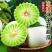 彩箱带箱5斤冰淇淋玉菇甜瓜正宗奶香蜜瓜现摘新鲜当季