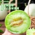 彩箱带箱5斤冰淇淋玉菇甜瓜正宗奶香蜜瓜现摘新鲜当季