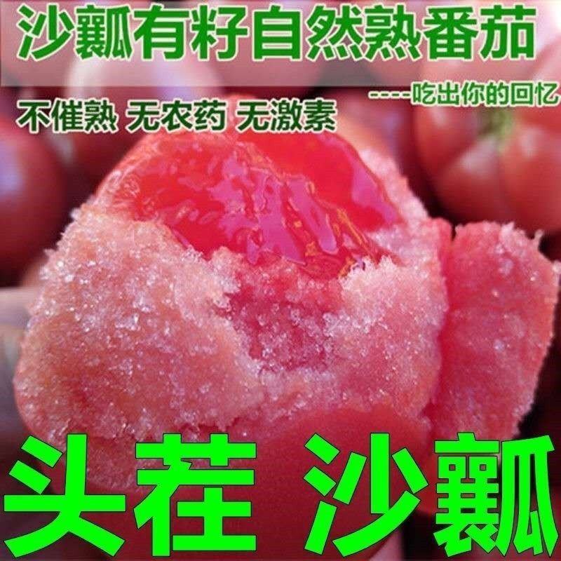 山东普罗旺斯生吃西红柿新鲜沙瓤大番茄自然熟水果粉柿子