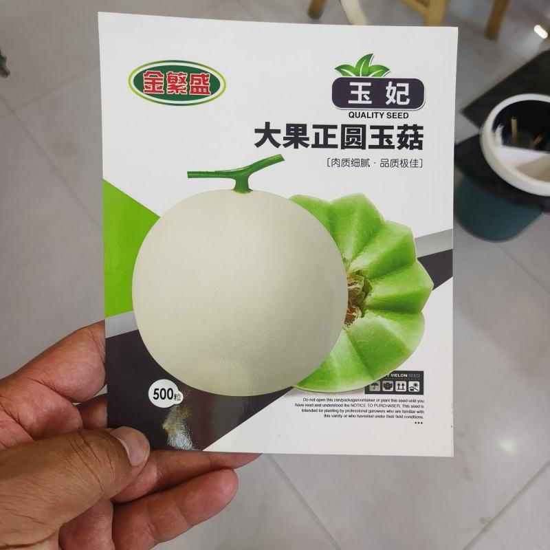 玉妃大果正圆玉菇抗病耐低温易管理含糖量高