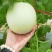 玉妃大果正圆玉菇抗病耐低温易管理含糖量高