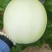 玉妃大果正圆玉菇抗病耐低温易管理含糖量高
