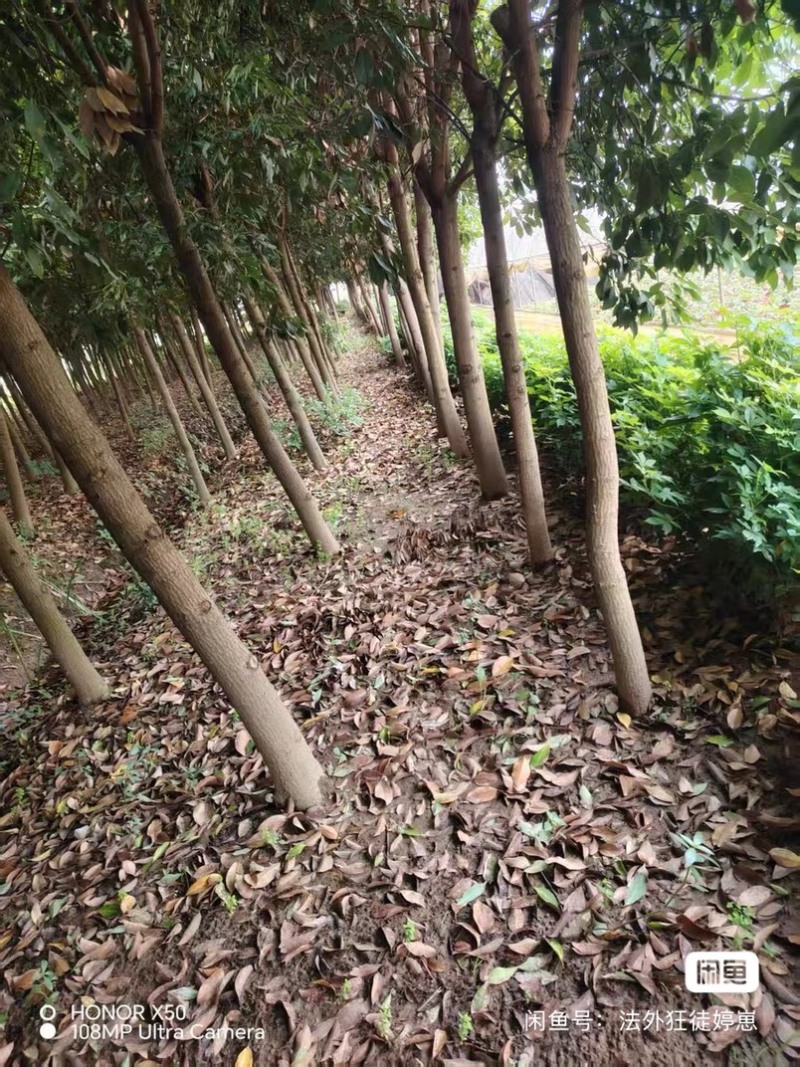 滇润南