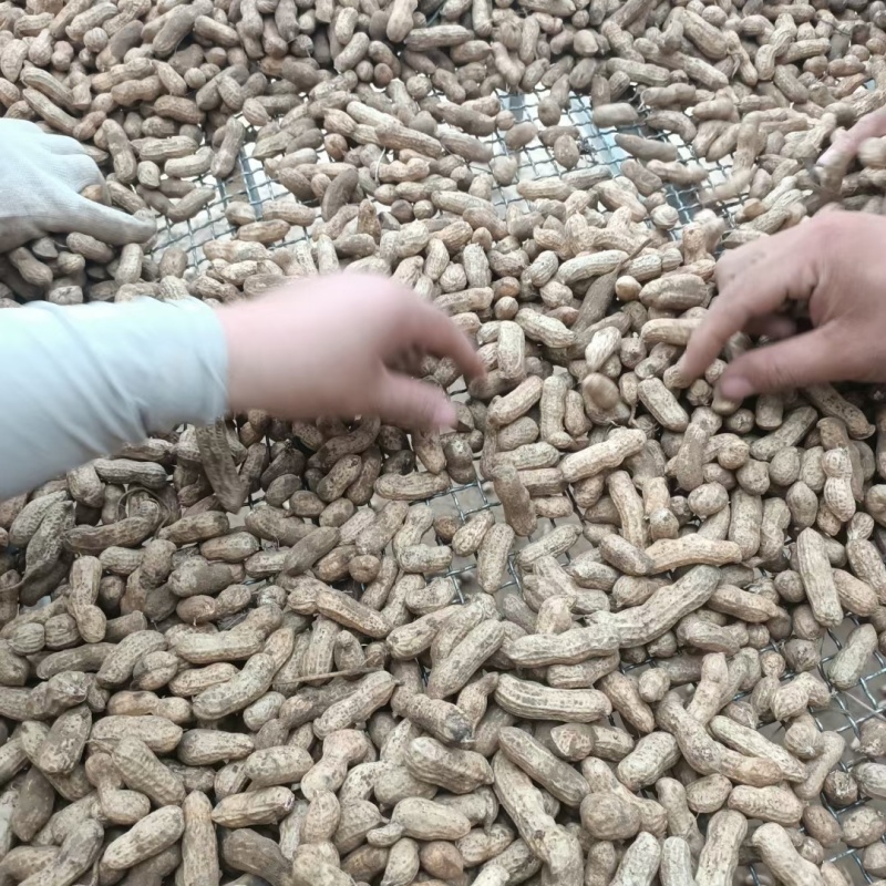 四粒红花生