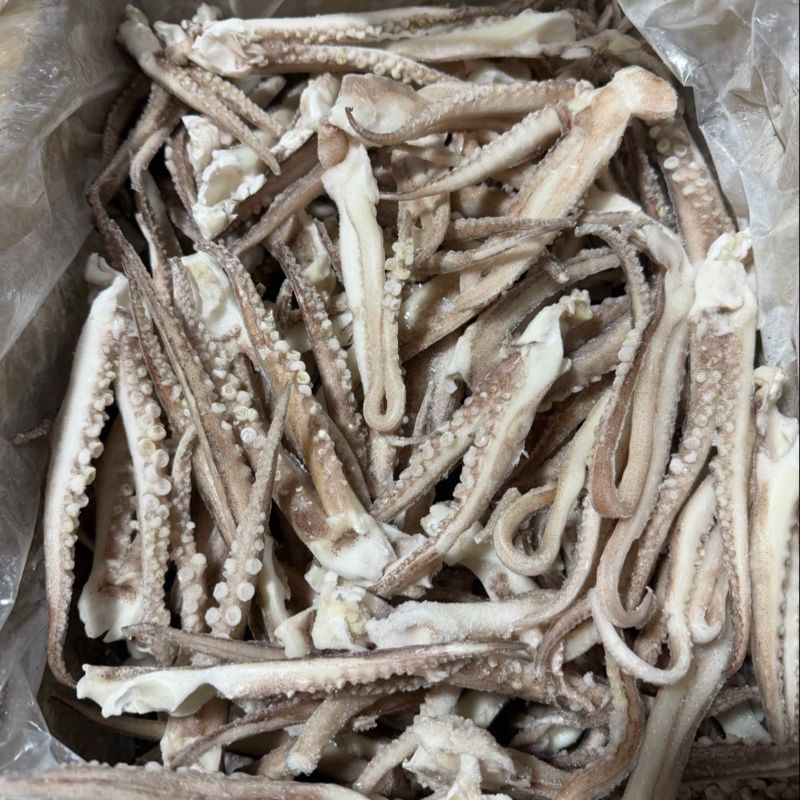 鱿鱼须