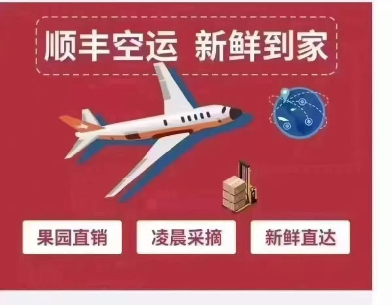 海南海口原产地荔枝王。