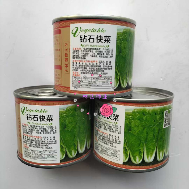 钻石快菜种子籽耐热耐湿小白菜快菜种籽叶片亮绿生长快直立