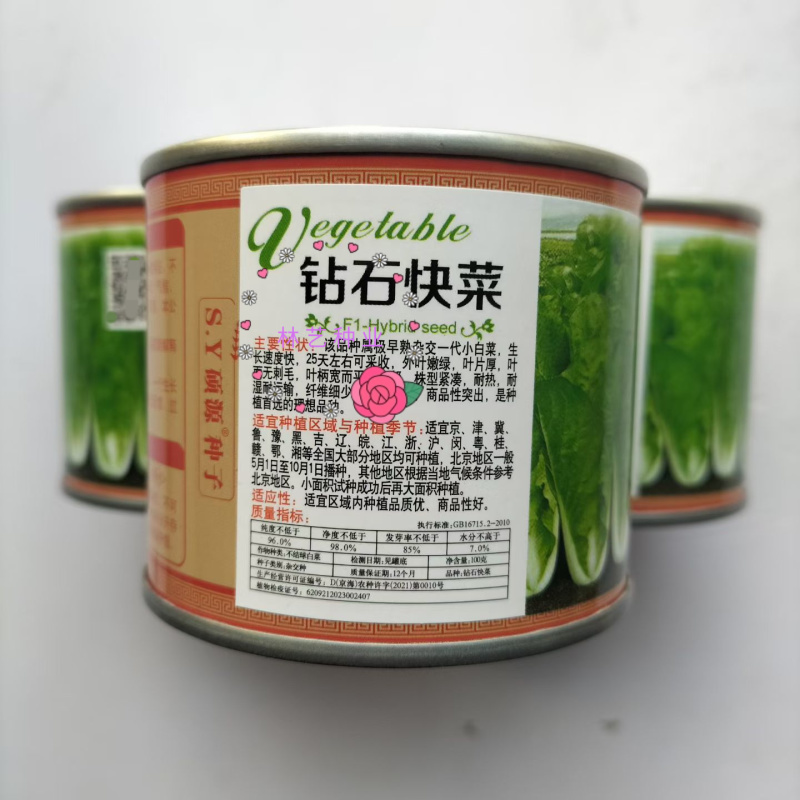 钻石快菜种子籽耐热耐湿小白菜快菜种籽叶片亮绿生长快直立