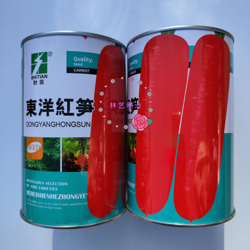 东洋红笋胡萝卜种子高产优质桔红色胡萝卜种籽大田秋播蔬菜种