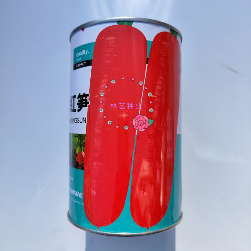 东洋红笋胡萝卜种子高产优质桔红色胡萝卜种籽大田秋播蔬菜种