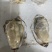 生蚝，全规格，货源充足，批发零售，发全国各地。