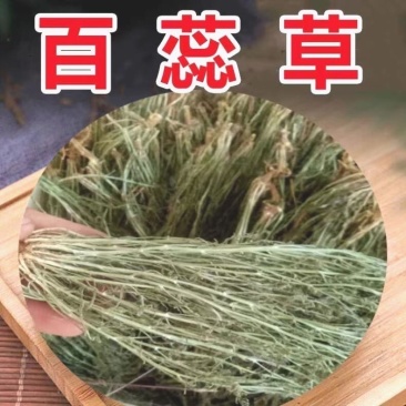 百蕊草中药材正品百蕊草干净无杂质无硫高品质