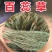 百蕊草中药材正品百蕊草干净无杂质无硫高品质