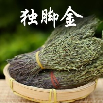 独脚金中药材自然晾晒干净无杂质正品