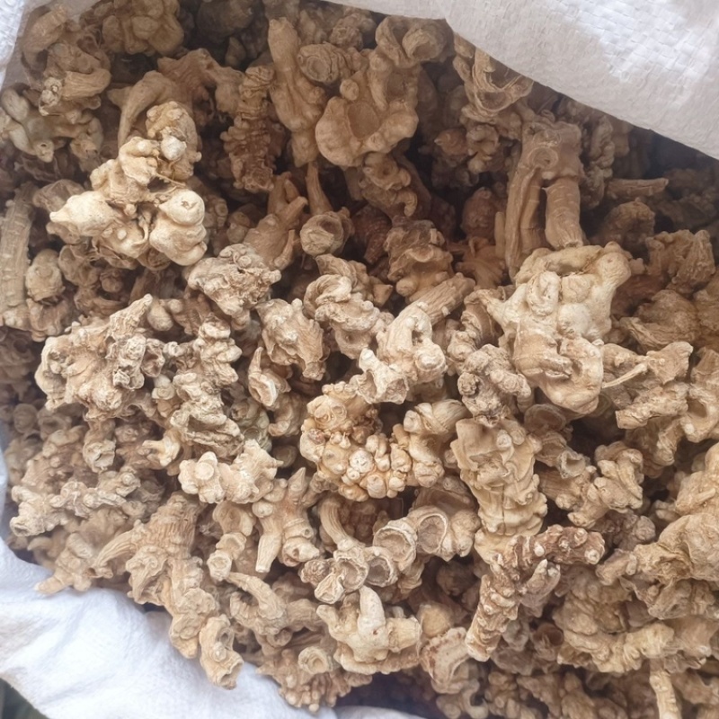 竹节参中药材正品竹节参无硫无杂质保证正品
