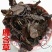 鹿含草中药材鹿衔草正品干净无硫