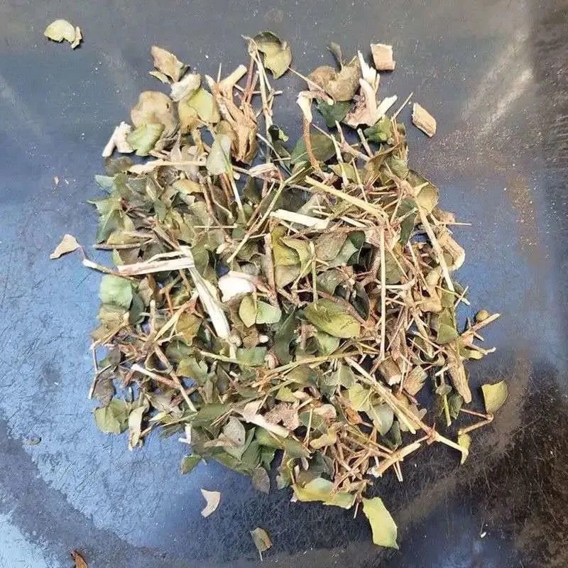 绣花针中药材正品绣花针草药干净无杂质