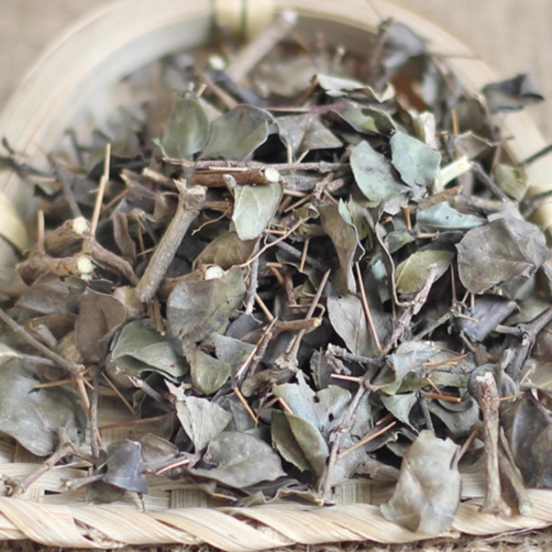 绣花针中药材正品绣花针草药干净无杂质