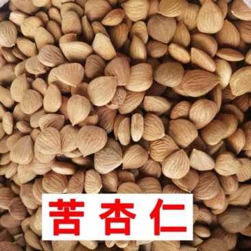 苦杏仁中药材正品北杏仁去皮无硫高品质保证正品