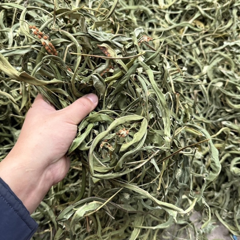 肾精草中药材干净无杂质无硫保证正品肾精草