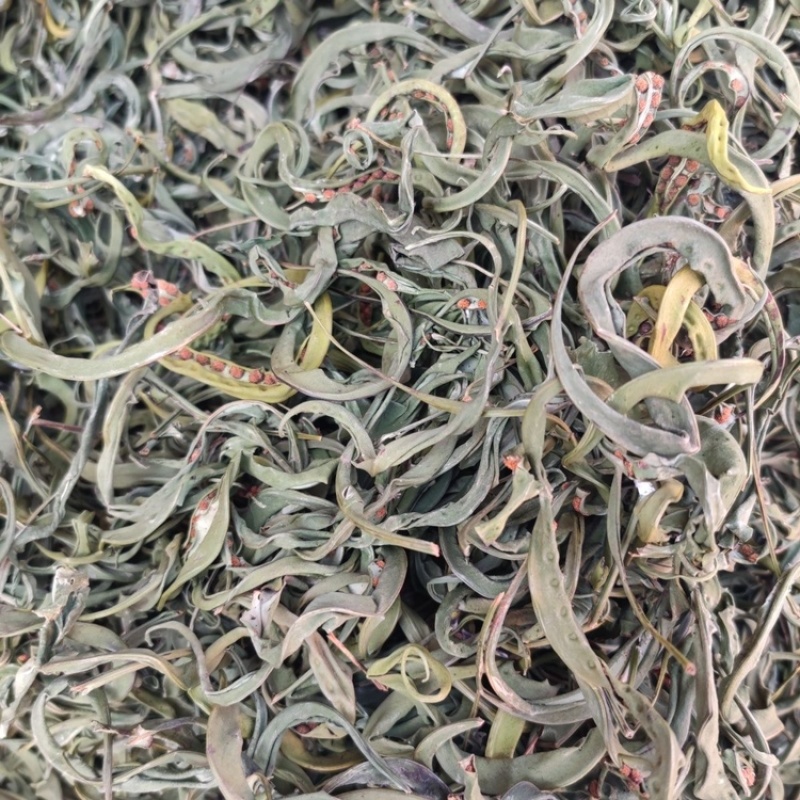 肾精草中药材干净无杂质无硫保证正品肾精草