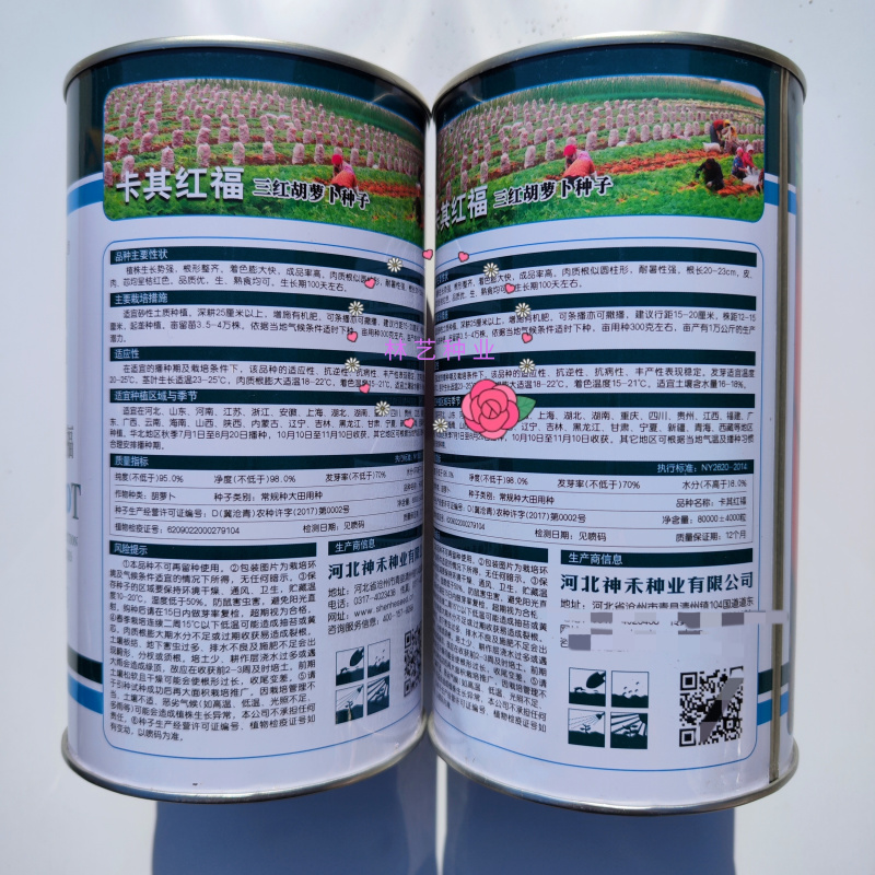卡其红福三红胡萝卜种子高产抗病优质桔红胡萝卜种籽春秋两用