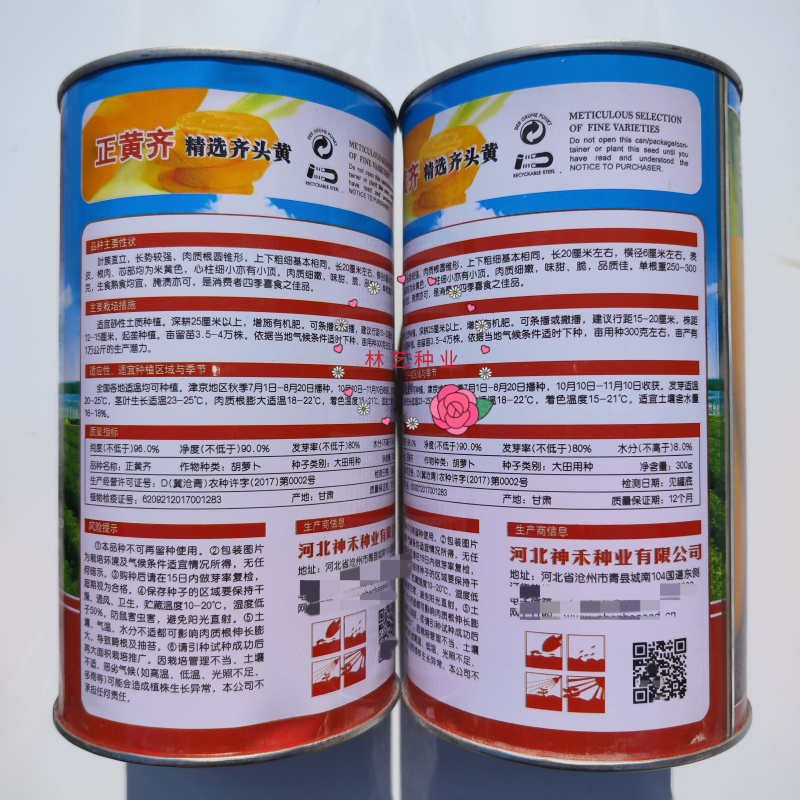 神禾正黄齐齐头黄胡萝卜种子优质高产抗病抗逆商品性佳