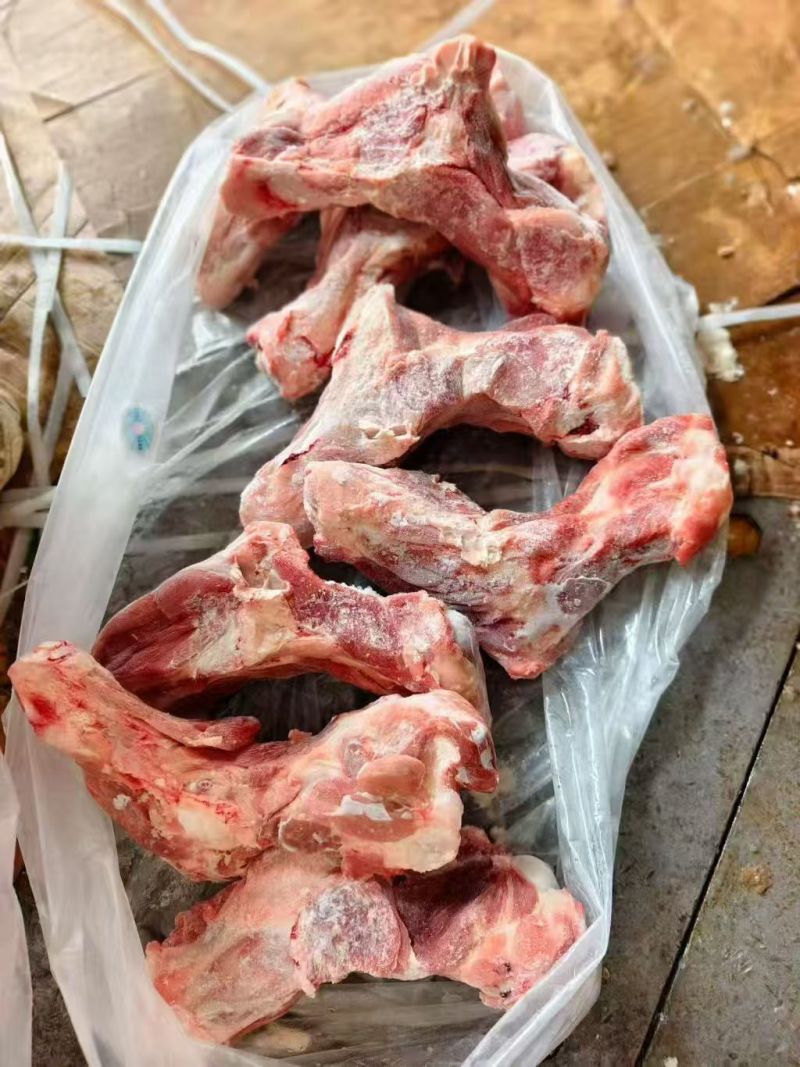 国产多肉前腿骨